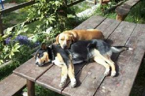 Xtrallusion photo gallery of Italy. Photos, pictures, images and photographs of the Italian Rivieras, the Italian Lakes, the Italian Alps, the Cinque Terre, the Amalfi coast and some of the most beautiful corners of Italy. Plus photos of Italian cities such as Pisa, Milan, Genoa and Rome.